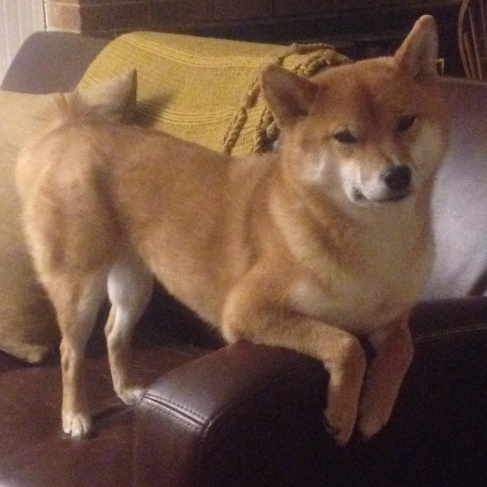 爱游戏电竞官网-_马拉松赛道安全措施升级，确保运动员顺利完赛_，马拉松安全管理规定