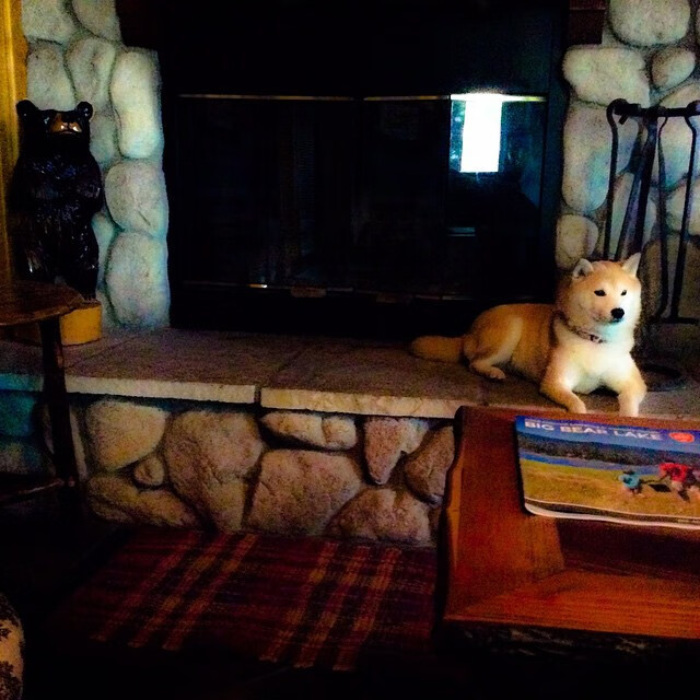 AYX GAMING-《绝地求生》赛事观众职业分布：学生、白领与自由职业者的电竞参与