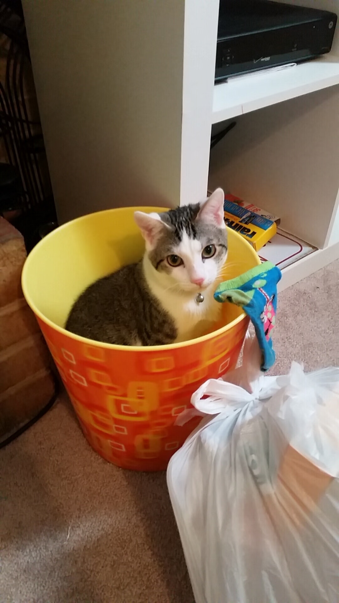 AYX SPORTS-塞维利亚主场战平强敌，积分保持稳定，塞维利亚队