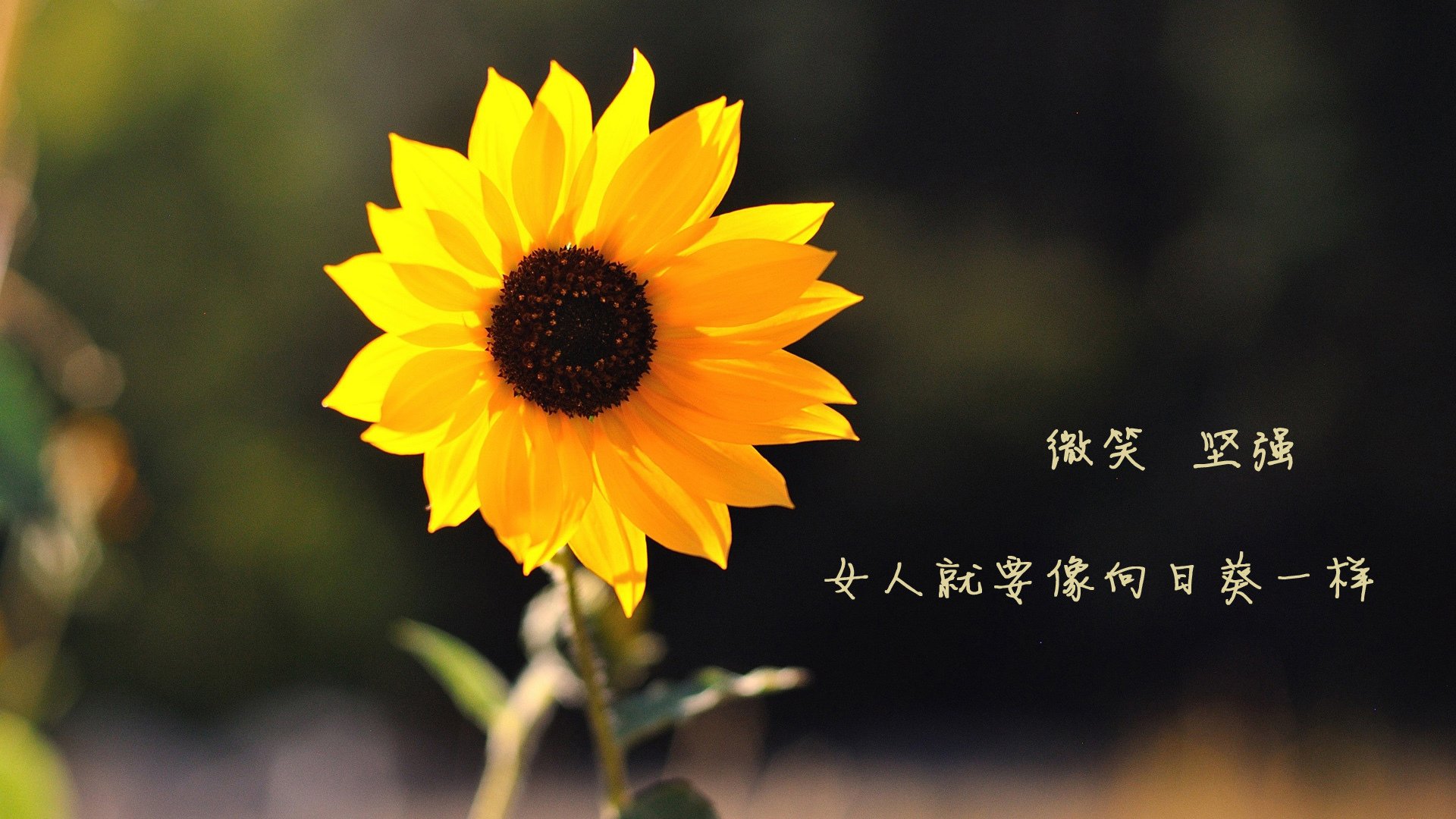 爱游戏体育（AYX）官方APP下载-电竞直播平台用户增长与留存策略，电竞直播行业现状