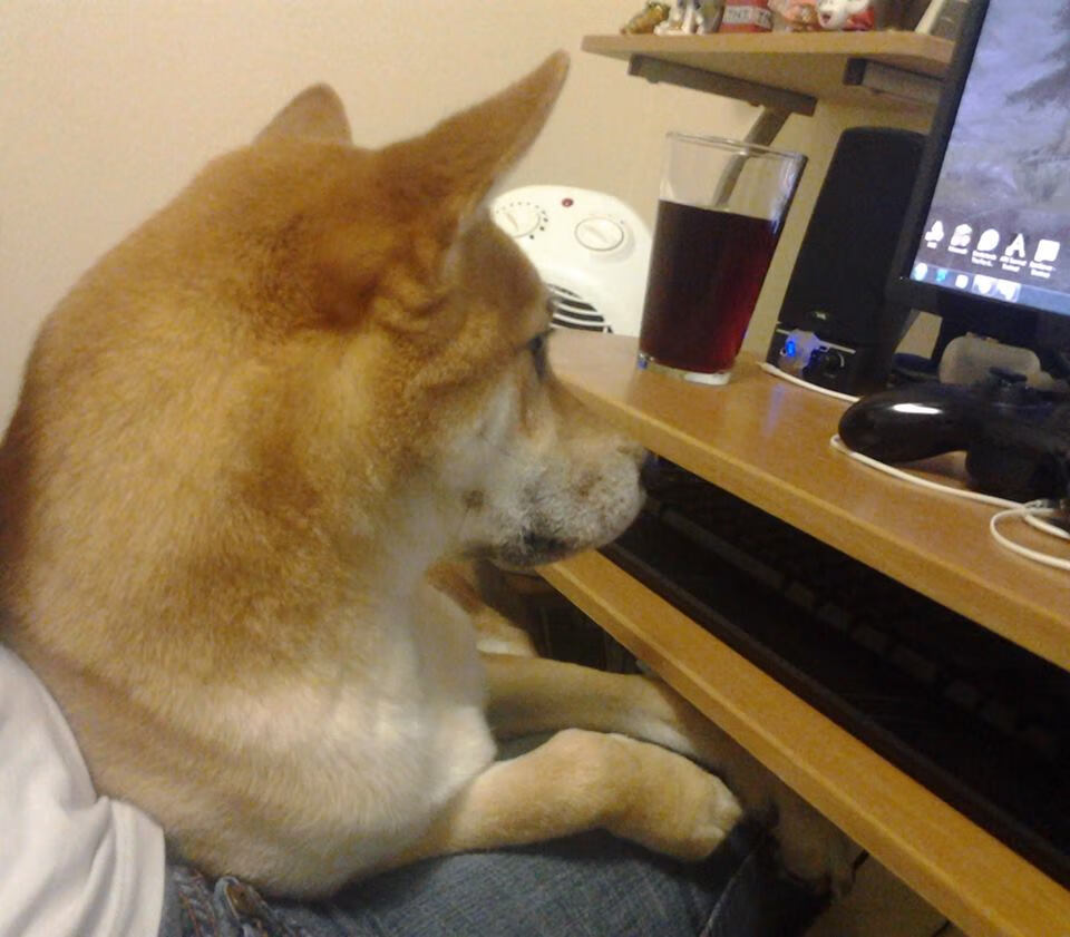 爱游戏中国官方网站平台-职业篮球青训教练员培养体系，青少年篮球教练员