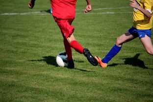 爱游戏综合娱乐-世界青少年自行车赛中国骑手再创佳绩，2020全国青少年自行车锦标赛