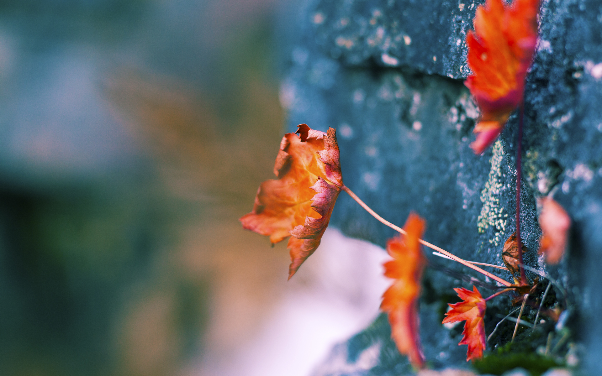 爱游戏在线登录入口-足坛新兴力量：非传统强队的崛起之路，新兴足球明星