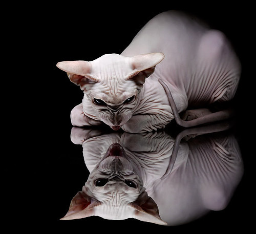 爱游戏体育（AYX）官方APP下载-中国男足海外拉练提升控球与防守质量，中国男足在海外效力的球员