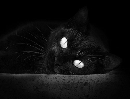 职业联赛赛程安排是否合理分配体能,职业联赛的作用