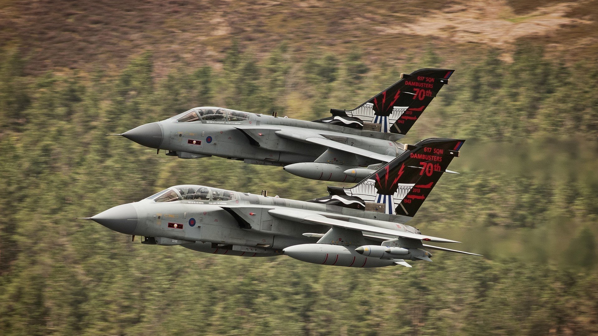 爱游戏中国官方登录入口网站-“华金·托比利亚的强硬防守与积极进攻，成就美洲狮队新一代战术体系”